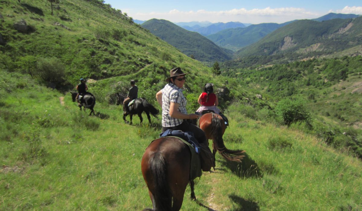 Le Moulin en Provence_Cheval