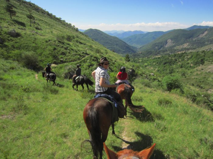 Promenades à Cheval ou dos d’ânes